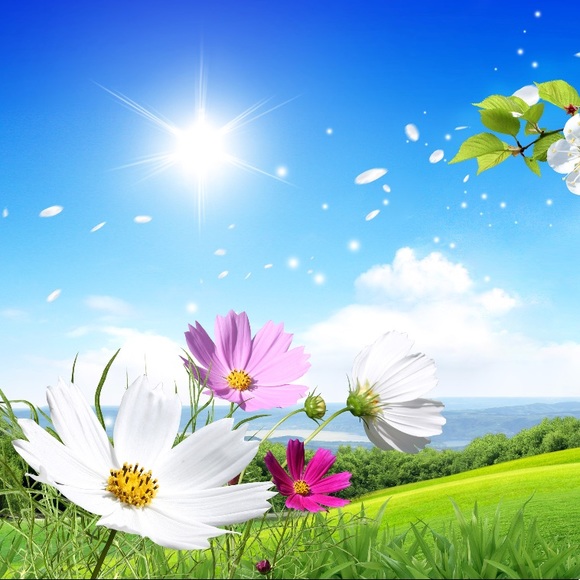 Meet your Posher, Dee - Picture 2 of 2